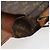 LOUIS VUITTON Borsa a Spalla Monogram Saint Cloud GM M51242 LV Auth am11439 Monogramma - vista 21