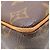 Louis Vuitton Borsa Viva Cite PM Monogramma Marrone - vista 18