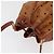 Borsa a corda Vicetos Logogram MCM in pelle PVC marrone e oro Auth BA12441A D'oro - vista 6