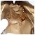 Borsa a Spalla GUCCI GG Supreme Web Sherry Line PVC Beige Oro Auth 177704 D'oro - vista 19