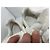 Alexander McQueen Sneakers Puffy in suede - Beige - vista 7
