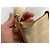 Borsa a tracolla MCM Patricia Hobo in pelle - Beige - vista 6