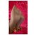 Elisabetta Franchi Décolleté Stiletto Nude Beige - vista 5
