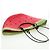 LOEWE Wassermelon Tote Bag Raffia 2-Wege Rot Auth 177162SAV - Ansicht 6