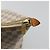 LOUIS VUITTON Borsa Tote Damier Azur Saleya MM N51185 LV Auth 177559 - vista 10