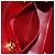 Borsa CHANEL Mini Matelasse 17 in pelle di agnello rossa e oro CC Auth 156630 Rosso D'oro - vista 23
