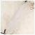 CHANEL By Sea Line Tote Bag Canvas Weiß Silber CC Auth 178508 - Ansicht 11