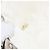 CHANEL By Sea Line Tote Bag Canvas Weiß Silber CC Auth 178508 - Ansicht 12