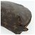 LOUIS VUITTON Monogram Trousse Demi Ronde Cosmetic Pouch M47520 LV Auth ka4196 Monogramma - vista 15