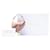 Borsa Saddle Dior in capretto micro marrone Carne - vista 7