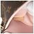 Louis Vuitton Marrone Monogram Pallas MM - vista 6