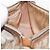 Borsa a Spalla Christian Dior Trotter Canvas Romantic PVC Beige Argento Auth 177266 - vista 20