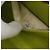 CHANEL Matelasse Chain Hand Bag Suede Light green CC Auth 176874SAV Verde chiaro - vista 10