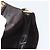Borsa a tracolla Christian Dior Trotter Canvas Marrone Oro Auth 177851 D'oro - vista 20