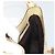 Borsa a Spalla GUCCI GG Canvas Beige Oro Auth 177967A D'oro - vista 19