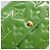 LOUIS VUITTON Vernis Portefeiulle Sarah Wallet Vert Tonic M93635 LV Auth 171237A - vista 17