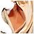 Sac à bandoulière GUCCI GG Canvas Beige Or 007 3444 0207 Auth 177887 Doré - vue 11