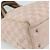 Borsa Tote GUCCI GG Canvas Rosa Argento 145810 Auth fm5322 - vista 14