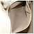 Borsa FENDI in pelle vernice Avorio Oro Auth BA12442A D'oro Crudo - vista 22