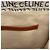 Céline Celine Cabas Thais Large Triomphe Tote Bag Marrone Bianco - vista 9