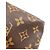 Borsa Louis Vuitton M41528 Speedy 25 Marrone Monogramma - vista 14
