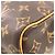 Borsa Louis Vuitton M41528 Speedy 25 Marrone Monogramma - vista 18