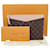 Louis Vuitton Pochette Daily Marrone