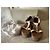 Sandali platform in pelle MM6 Maison Margiela Bianco sporco - vista 13