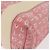 Bulgari Borsa BVLGARI Logo Mania Canvas Rosa Argento Auth 178503A - vista 16