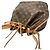 Noe Borsa a Spalla Louis Vuitton Petit Noé Marrone - vista 4