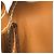 Hermès Hermes Vintage Chamonix Lederschultertasche Braun - Ansicht 12