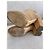 Chanel Botines de Ante Beige con Cadena - vista 10