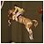 Hermès Jumping Carré 90 Seidentwill-Tuch - Beige - Ansicht 5