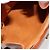 Louis Vuitton Cluny Epi Leather Marrone - vista 5