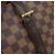 Borsa Louis Vuitton Chelsea Damier Marrone - vista 6