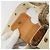 Borsa a tracolla Christian Dior Trotter Canvas Street Chic Beige Oro Auth bs34856A D'oro - vista 15