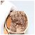 Borsa a tracolla Christian Dior Trotter Canvas Street Chic Beige Oro Auth bs34856A D'oro - vista 18