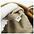 Bolsa Tote PRADA de couro marrom prata Auth 179442A - vista 22
