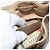 Borsa a tracolla GUCCI GG Supreme Web Sherry Line PVC Beige Oro Rosso Auth hk3712 D'oro - vista 21