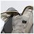 Bolso GUCCI Micro GG Canvas Guccissima de Cuero Outlet Gris Oro 449413 Auth 179640 Castaño Dorado - vista 19