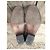 Autre Marque Via Roma 15 Botines Western de Piel Castaño Beige - vista 5