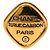 Chanel Coco Mark 31 RUE CAMBON Vergoldete Brosche Golden