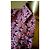 Autre Marque Blusa de algodón Marc O'Polo con estampado de bicicletas Rosa Morado oscuro - vista 8