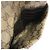 Portafoglio a tracolla con catena GG Crystal Gucci Beige - vista 3