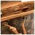 Zaino Louis Vuitton Montsouris Middle Monogramma - vista 10