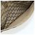 Borsa Tote GUCCI GG Supreme Web Sherry Line PVC Beige Red 89 02 997 Auth 180169 - vista 11