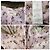 Kenzo Tailleur Pantalone Marrone Gessato - vista 7