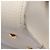 Borsa Loewe Amazona 36 Bianco Beige - vista 8