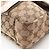 Borsa a tracolla Gucci GG Canvas Beige Crudo - vista 7