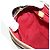 LOUIS VUITTON Borsa a Spalla Monogram Viva Cite GM M51163 LV Auth am11553V Monogramma - vista 25